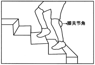 今天你运动了吗？——健身运动安全指南教你如何科学健身半岛电竞官方网站(图4)