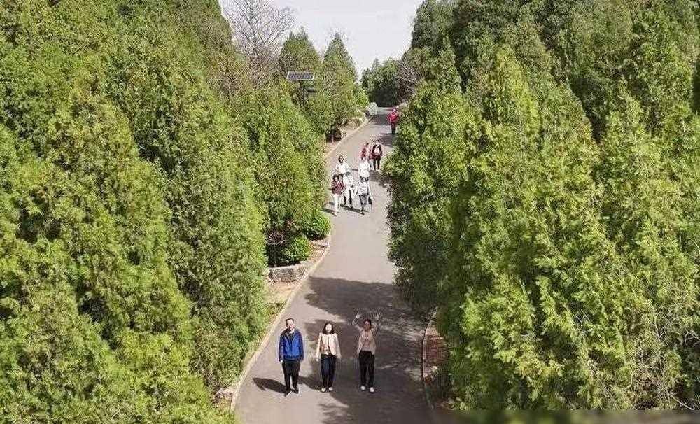 泉在济南运动健身丨历下区第十四届全民健身运动会顺利开幕！(图8)